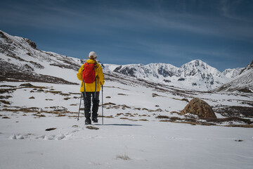 Back view of female hiker in yellow jacket with red backpack and trekking poles walking on snow...