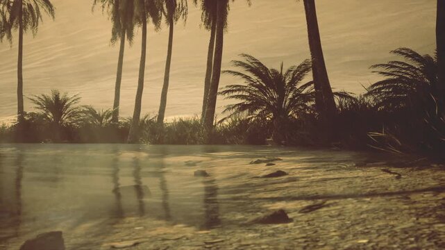 Shaded shoreline at morocco oasis with gentle waves lapping against palm roots, muted golden light, textured sand and intimate coastal mood.