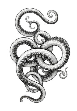 Colossal, twisting black and white kraken tentacles rendered in meticulous 19th-century woodcut style, isolated on a transparent background. Concept of deep sea mythology