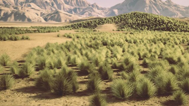 sunlit scrubland with young shrubs and rolling mountain backdrop, restoration project vibe, scattered clumps of green on dry soil, warm golden light, visible
