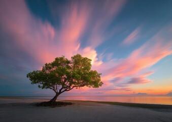 Fototapeta premium Solitary Tree Silhouetted Against a Dramatic Sunset Sky.