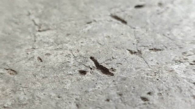 Concrete surfaces are peeling or spalling. due to extreme weather