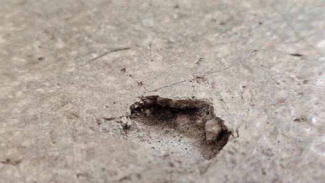Concrete surfaces are peeling or spalling. due to extreme weather