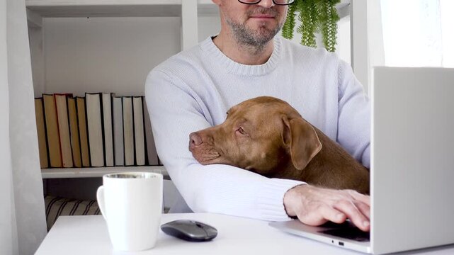 Man in a blue sweater works on a laptop at a clean white desk with his dog nearby, surrounded by books, a coffee cup and a green plant. Remote work concept blending comfort and digital nomad lifestyle