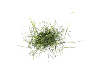 Pile of fresh green cut grass clippings isolated on a Transparent background, messy texture with scattered blades, natural lawn mowing concept. © Mukta