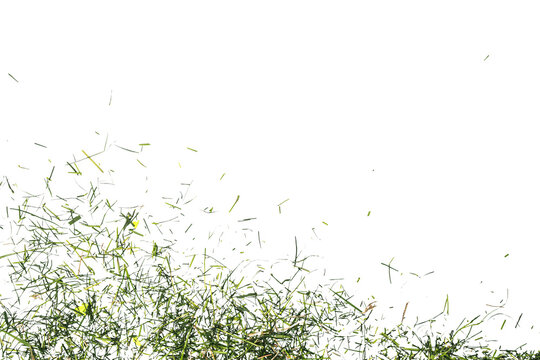 Fresh green grass clippings flying upward against a Transparent background, isolated with copy space, dynamic motion and texture, ideal for lawn care or gardening concepts.