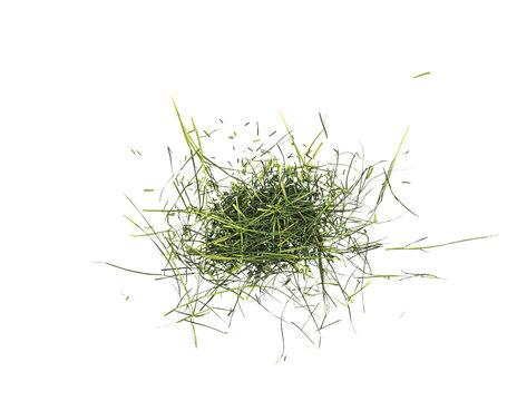 Pile of fresh green cut grass clippings isolated on a Transparent background, messy texture with scattered blades, natural lawn mowing concept.