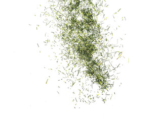 Floating green grass and herb particles isolated on transparent background, fresh natural plant fragments in motion, organic botanical elements, green grass pieces scattered in air. © Mukta