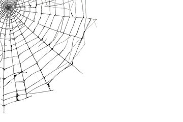Obraz premium Spider web or cobweb pattern creating creepy spooky halloween texture on transparent background
