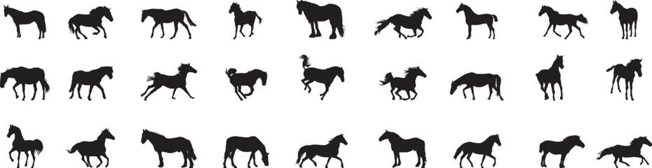 Horse silhouette collection with various running, standing, and walking poses. Minimal black equine icons showing galloping motion and natural stance. Clean vector graphics for ranch design, wildlife  © Sk