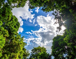 Obraz premium A sunny day with fluffy clouds and lush green trees