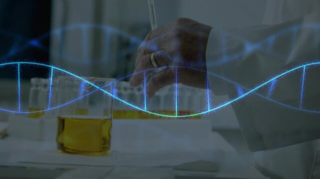 Tech moving hand over beaker, pipetting to tubes for genetics as DNA helix passing over pipette