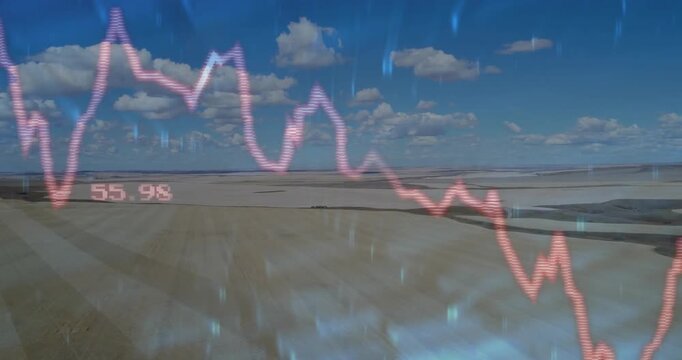 On data update, neon-pink line graph oscillating and updating labels, showing decline over fields