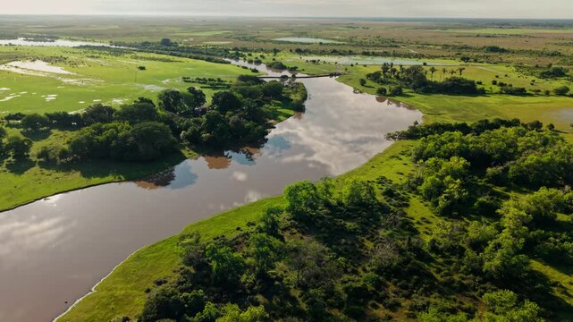 Stunning aerial footage of a winding river flowing through the vibrant green savannas of colombia