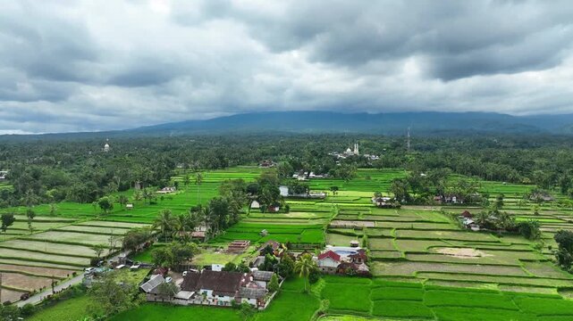 Aerial of a dense Sasak village with golden mosque dome and surrounding paddies, Lombok, Nusa Tenggara Barat