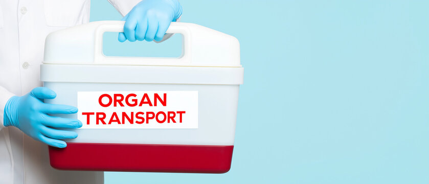 Clinician hand carrying a organ transport cooler