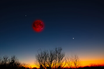 Lunar eclipse, stars and planets above landscape silhouettes. © astrosystem