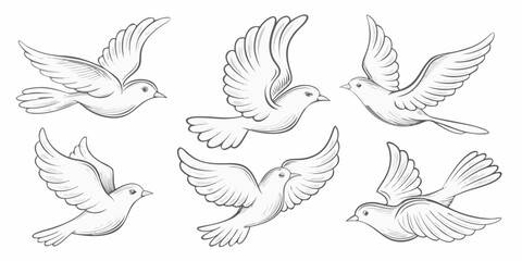 Obraz premium A collection of hand drawn doves in various flight poses