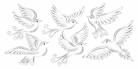 Fototapeta premium A collection of sketched birds in flight and perched poses