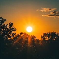 Vibrant Sunrise with Silhouetted Trees and Rays of Light