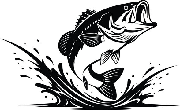 Powerful black and white bass fish leaping from water with splashes, embodying strength and the thrill of sport fishing, jumping fish, largemouth bass, fish illustration