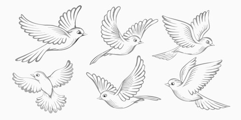 Obraz premium A collection of hand drawn birds in various flight poses