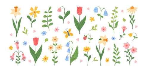 Naklejka premium Spring and summer abstract hand drawn flowers. Floral elements, wildflower, tulips, leaves and herb, daffodil, foliage. Beautiful blossom meadow and garden flowers. Vector illustration.