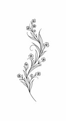 Elegant floral illustration of a delicate sprig with small blossoms and leaves, perfect for tattoo or decorative design