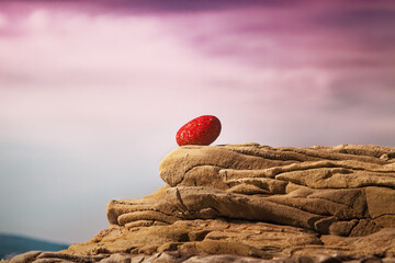 Red stone egg. An unusual red stone was found at the mouth of the Ropotamo River (Bulgaria) and placed on a stone by the sea. Year 2009-09. © Sergey