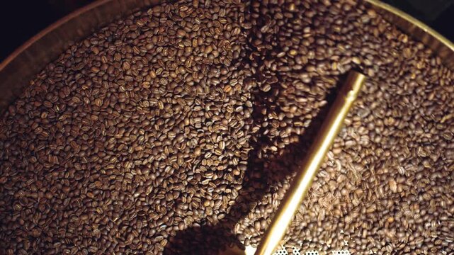 coffee beans roasting process closeup, professional roaster machinery equipment roast brown and golden colored cafe seeds close-up, directly above top view 4k