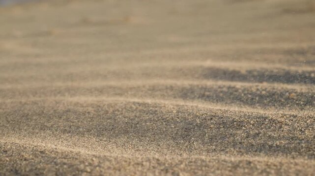 Strong desert wind blowing sand across dune surface in Egypt