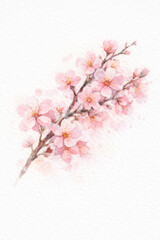 Obraz premium Watercolor cherry blossom sakura flower branch pink illustration bloom nature spring scene conveys peaceful serene calm feeling with soft petal background design for card