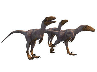 Deinonychus velociraptor dinosaur 3d render © david