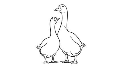 Pair of Geese, Outlined: A charming illustration depicts a pair of geese standing side-by-side, their forms elegantly outlined, creating a simple yet captivating artistic composition. © hafs121