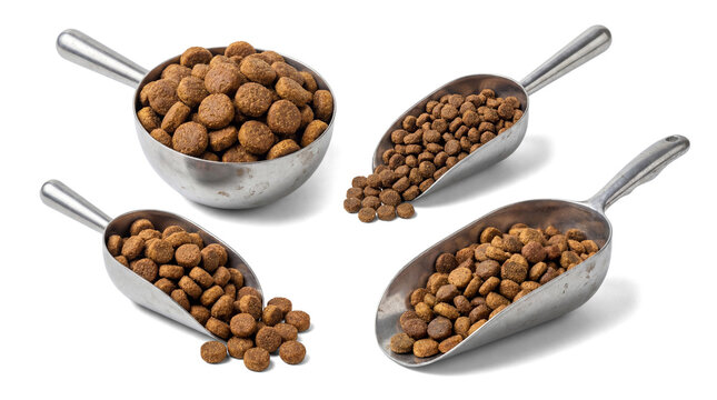 four scoops of dry dog food on a transparent background, showcasing a variety of kibble sizes and textures, perfect for pet nutrition and health content.
