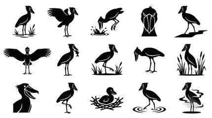 Fototapeta premium Collection of Silhouetted Water Birds in Various Poses and Activities, Including Feeding and Nesting.
