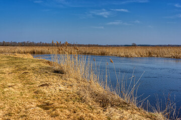 Przedwiośnie w Narwiańskim Parku Narodowym, Podlasie, Polska © podlaski49