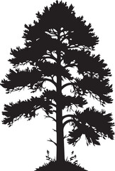 Obraz premium Isolated Black Pine Tree Silhouette Vector Graphic isolated PNG with Transparent Background