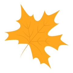 Obraz premium Autumn Maple Leaf Illustration