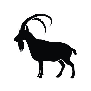 markhor Animal Vector