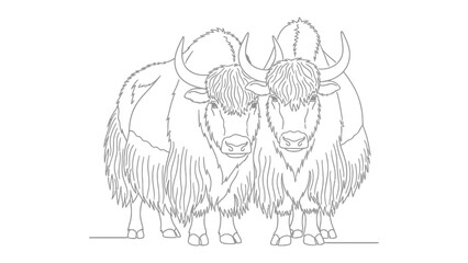Obraz premium Monochromatic Yak: A pair of majestic yaks, captured in a detailed monochrome illustration, stand side-by-side, showcasing their imposing size and shaggy coats.