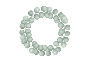 Eucalyptus leaves forming a circular frame with green foliage