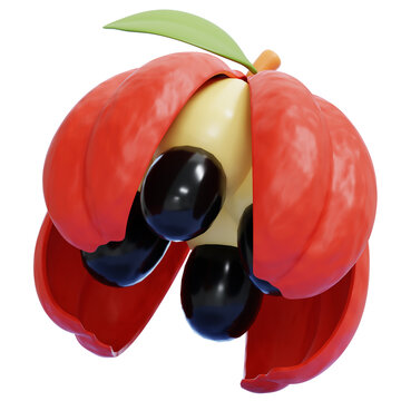 PNG 3D Ackee Illustration Isolated on a Transparent Background