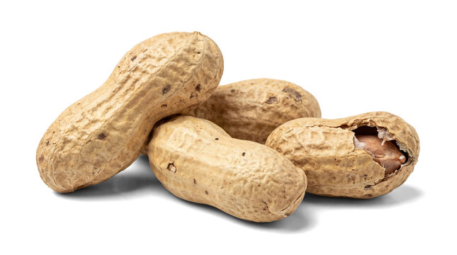 transparent png image of four whole peanuts in their shells, one cracked open, on a transparent background, showcasing raw nuts with visible texture.