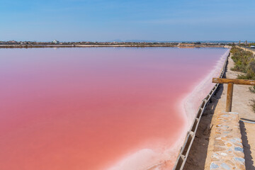 Obraz premium Pink salt lagoon and evaporation ponds in Salinas de San Pedro del Pinatar Natural Park, Murcia, Spain. Mediterranean salt flats landscape with shallow saline water and natural salt production area.