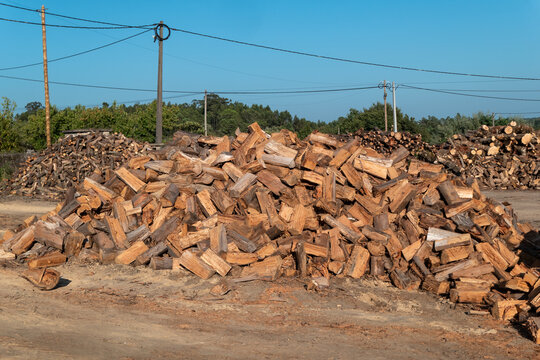  Pilha de lenha cortada e empilhada ao ar livre, composta por troncos e peda&ccedil;os de madeira, dispostos de forma irregular num terreno de terra batida sob um c&eacute;u azul
