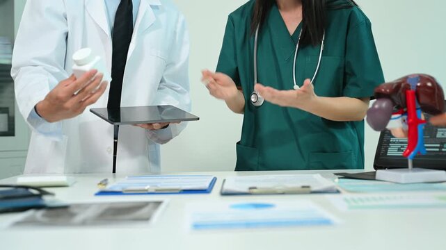 Doctors discussing kidney anatomy with a medical model and tablet in hospital, representing nephrology research, healthcare teamwork, medical education