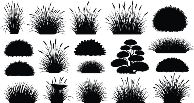Black grass and bush silhouette vector set, nature plant collection with meadow weeds, reeds and shrubs isolated on white background,