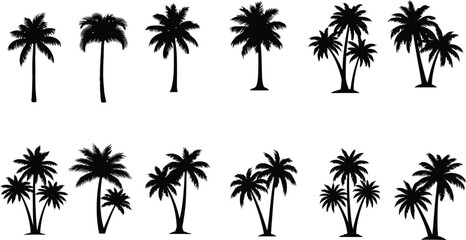 Tropical Palms Silhouette: An elegant collection of palm tree silhouettes showcasing the iconic shapes of these tropical emblems, ideal for conveying a sense of serenity and exotic locales.