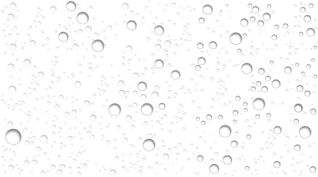 Realistic Water Drops Overlay, Transparent Rain Droplets Texture for Wet Glass Backgrounds Vector